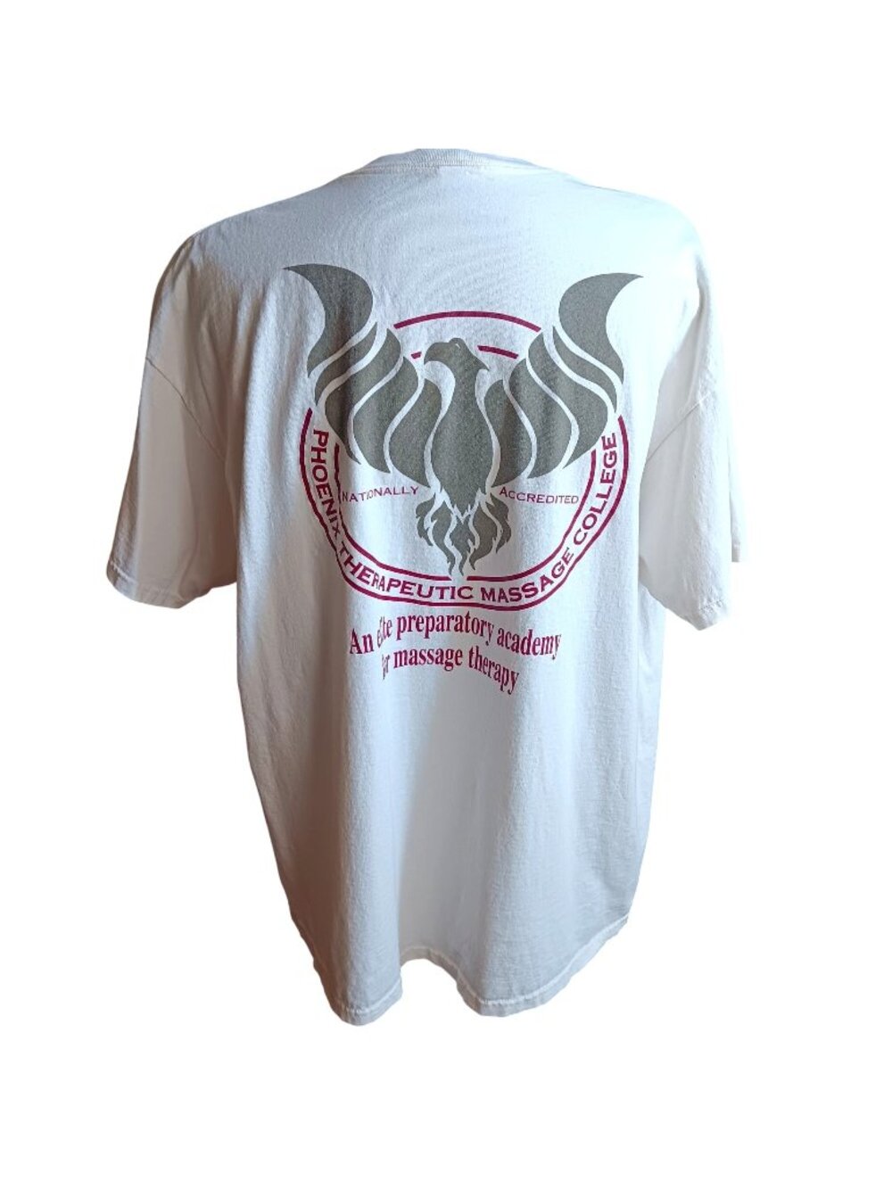 True Vintage T-shirt XXL Phoenix Therapeutic Massage College Delta Pro Weight
